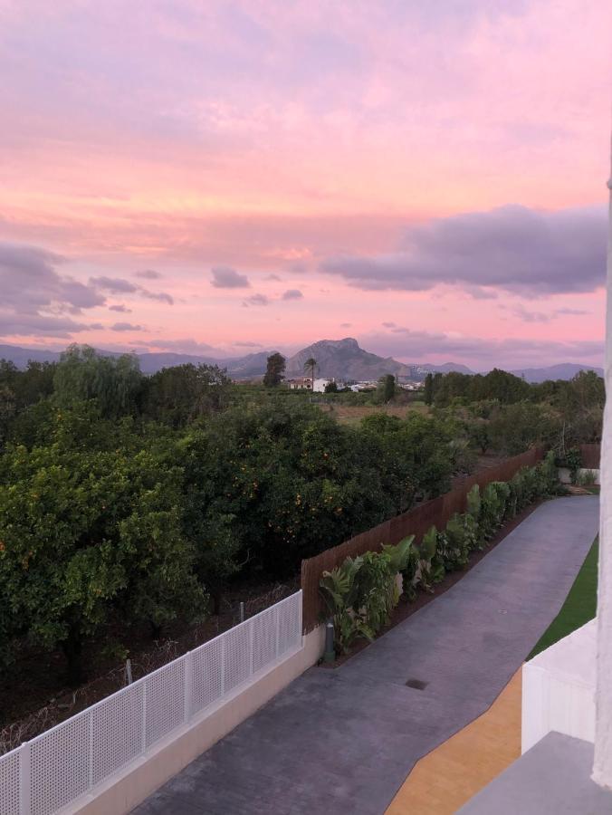 Sunny Apartment In Denia With Outdoor Swimming Pool And Garage Parking Place Included, 300M From The Sandy Beach 外观 照片